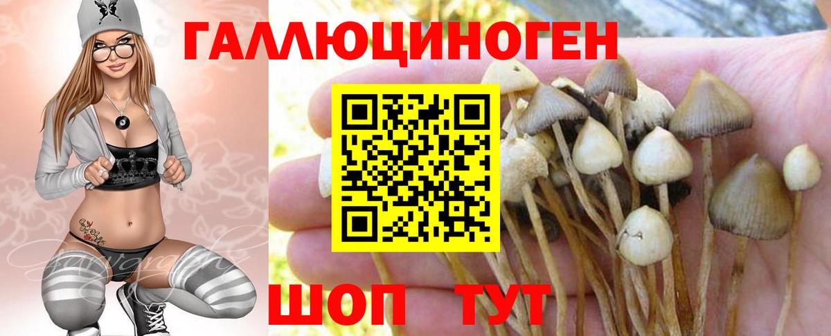 Псилоцибиновые грибы MAGIC MUSHROOMS  Вход с VPN  Сыктывкар 